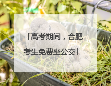 高考期间，合肥考生免费坐公交