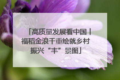 高质量发展看中国丨福稻金浪千重绘就乡村振兴“丰”景图