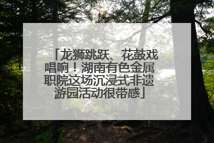 龙狮跳跃、花鼓戏唱响！湖南有色金属职院这场沉浸式非遗游园活动很带感