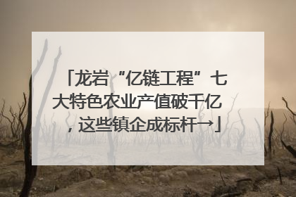 龙岩“亿链工程”七大特色农业产值破千亿，这些镇企成标杆→