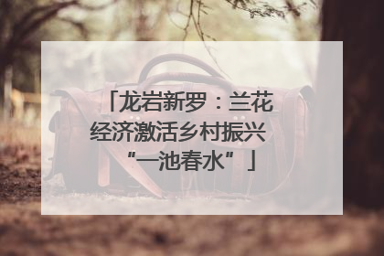 龙岩新罗：兰花经济激活乡村振兴“一池春水”
