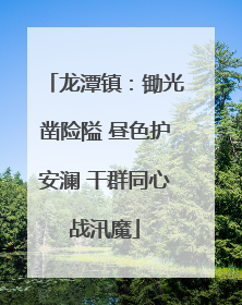 龙潭镇：锄光凿险隘 昼色护安澜 干群同心战汛魔