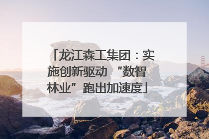 龙江森工集团：实施创新驱动 “数智林业”跑出加速度