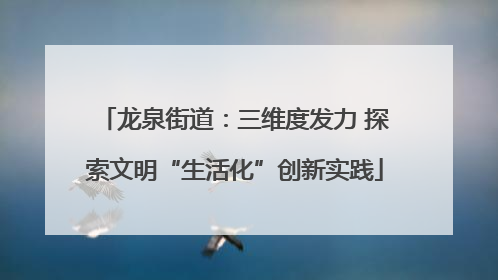 龙泉街道：三维度发力 探索文明“生活化”创新实践