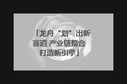 龙舟“划”出新赛道 产业链整合打造新引擎
