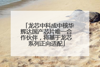 龙芯中科成中核华辉达国产芯片唯一合作伙伴，将基于龙芯系列正向适配