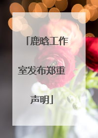 鹿晗工作室发布郑重声明