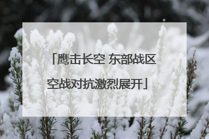 鹰击长空 东部战区空战对抗激烈展开