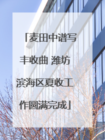 麦田中谱写丰收曲 潍坊滨海区夏收工作圆满完成