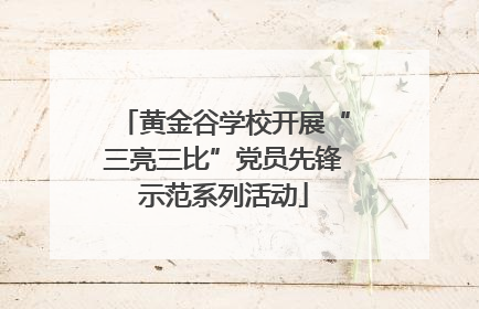 黄金谷学校开展“三亮三比”党员先锋示范系列活动