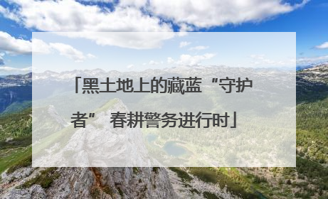 黑土地上的藏蓝“守护者” 春耕警务进行时