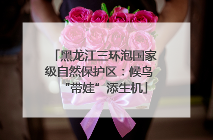 黑龙江三环泡国家级自然保护区：候鸟“带娃”添生机