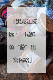 黑龙江抚远：一尾鲜鱼“游”出富民路