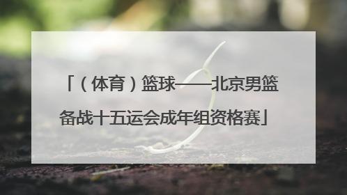（体育）篮球——北京男篮备战十五运会成年组资格赛