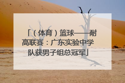 （体育）篮球——耐高联赛：广东实验中学队获男子组总冠军