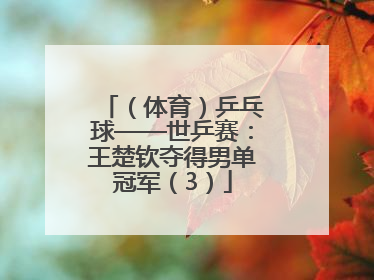 （体育）乒乓球——世乒赛：王楚钦夺得男单冠军（3）