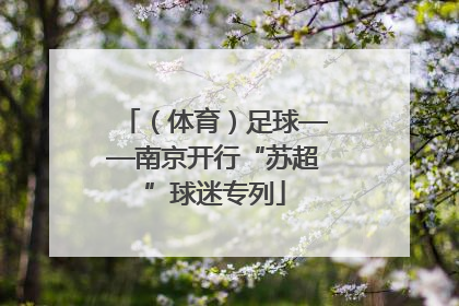（体育）足球——南京开行“苏超”球迷专列
