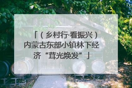 （乡村行·看振兴）内蒙古东部小镇林下经济“茸光焕发”