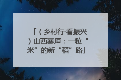 （乡村行·看振兴）山西襄垣：一粒“米”的新“稻”路