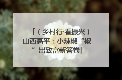 （乡村行·看振兴）山西高平：小辣椒“椒”出致富新答卷