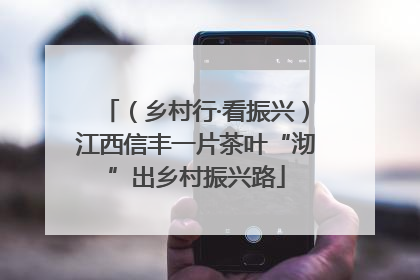 （乡村行·看振兴）江西信丰一片茶叶“沏”出乡村振兴路