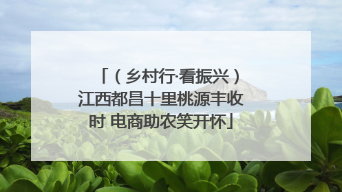 （乡村行·看振兴）江西都昌十里桃源丰收时 电商助农笑开怀