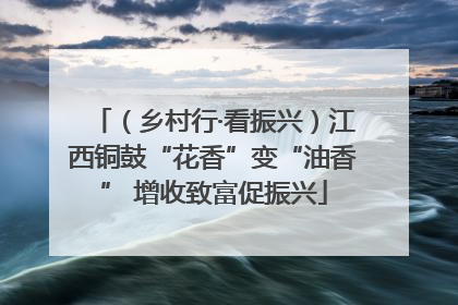 （乡村行·看振兴）江西铜鼓“花香”变“油香” 增收致富促振兴