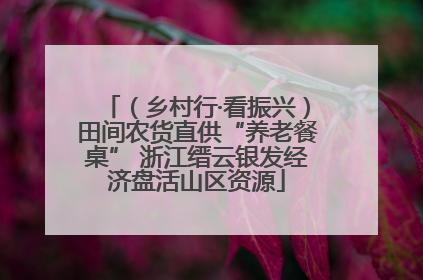 （乡村行·看振兴）田间农货直供“养老餐桌” 浙江缙云银发经济盘活山区资源