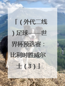 （外代二线）足球——世界杯预选赛：比利时胜威尔士（3）
