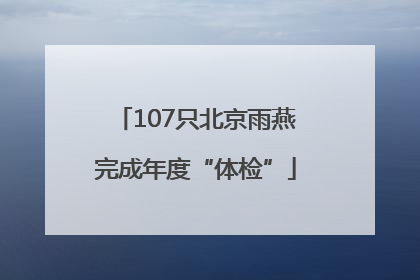 107只北京雨燕完成年度“体检”