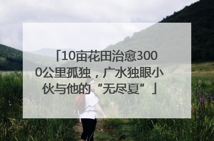 10亩花田治愈3000公里孤独，广水独眼小伙与他的“无尽夏”