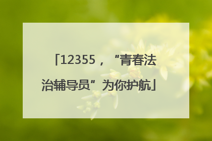 12355，“青春法治辅导员”为你护航