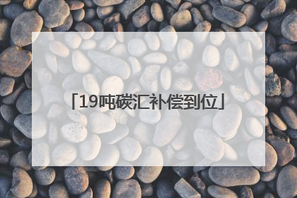 19吨碳汇补偿到位