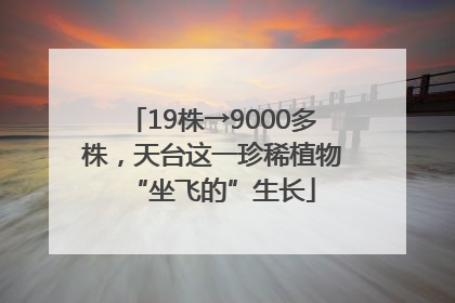 19株→9000多株，天台这一珍稀植物“坐飞的”生长