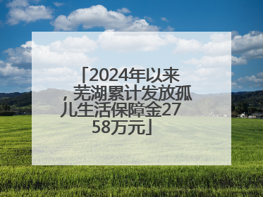 2024年以来，芜湖累计发放孤儿生活保障金2758万元