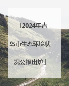 2024年青岛市生态环境状况公报出炉