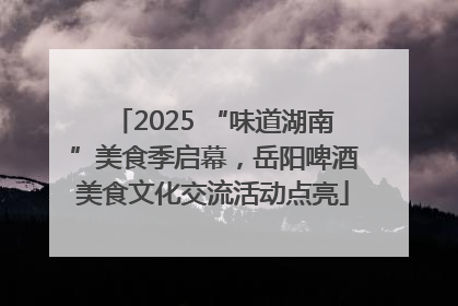 2025 “味道湖南”美食季启幕，岳阳啤酒美食文化交流活动点亮