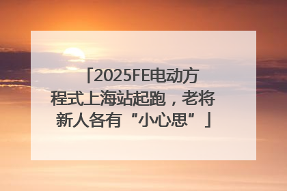 2025FE电动方程式上海站起跑，老将新人各有“小心思”