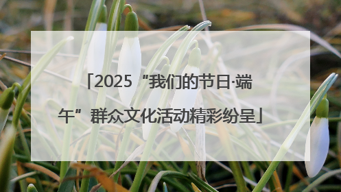 2025“我们的节日·端午”群众文化活动精彩纷呈