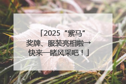 2025“紫马”奖牌、服装亮相啦→快来一睹风采吧！