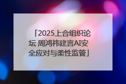 2025上合组织论坛 周鸿祎建言AI安全应对与柔性监管