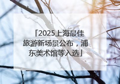 2025上海最佳旅游新场景公布，浦东美术馆等入选
