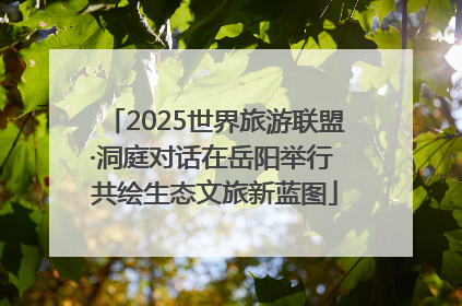 2025世界旅游联盟·洞庭对话在岳阳举行 共绘生态文旅新蓝图