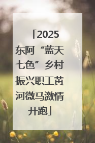 2025东阿“蓝天七色”乡村振兴职工黄河微马激情开跑