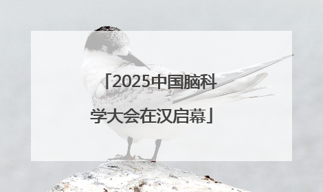 2025中国脑科学大会在汉启幕