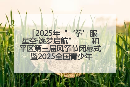 2025年“‘筝’服星空·逐梦启航”——和平区第三届风筝节闭幕式 暨2025全国青少年风筝制作放飞赛（沈阳站）颁奖仪式