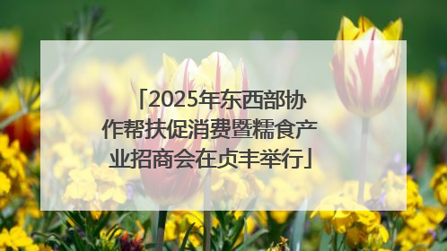 2025年东西部协作帮扶促消费暨糯食产业招商会在贞丰举行