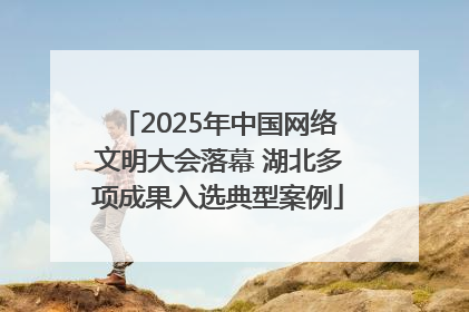 2025年中国网络文明大会落幕 湖北多项成果入选典型案例