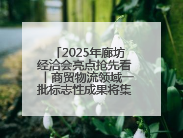 2025年廊坊经洽会亮点抢先看丨商贸物流领域一批标志性成果将集中发布