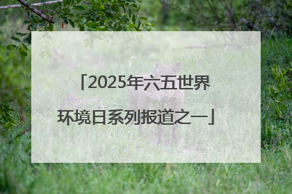 2025年六五世界环境日系列报道之一